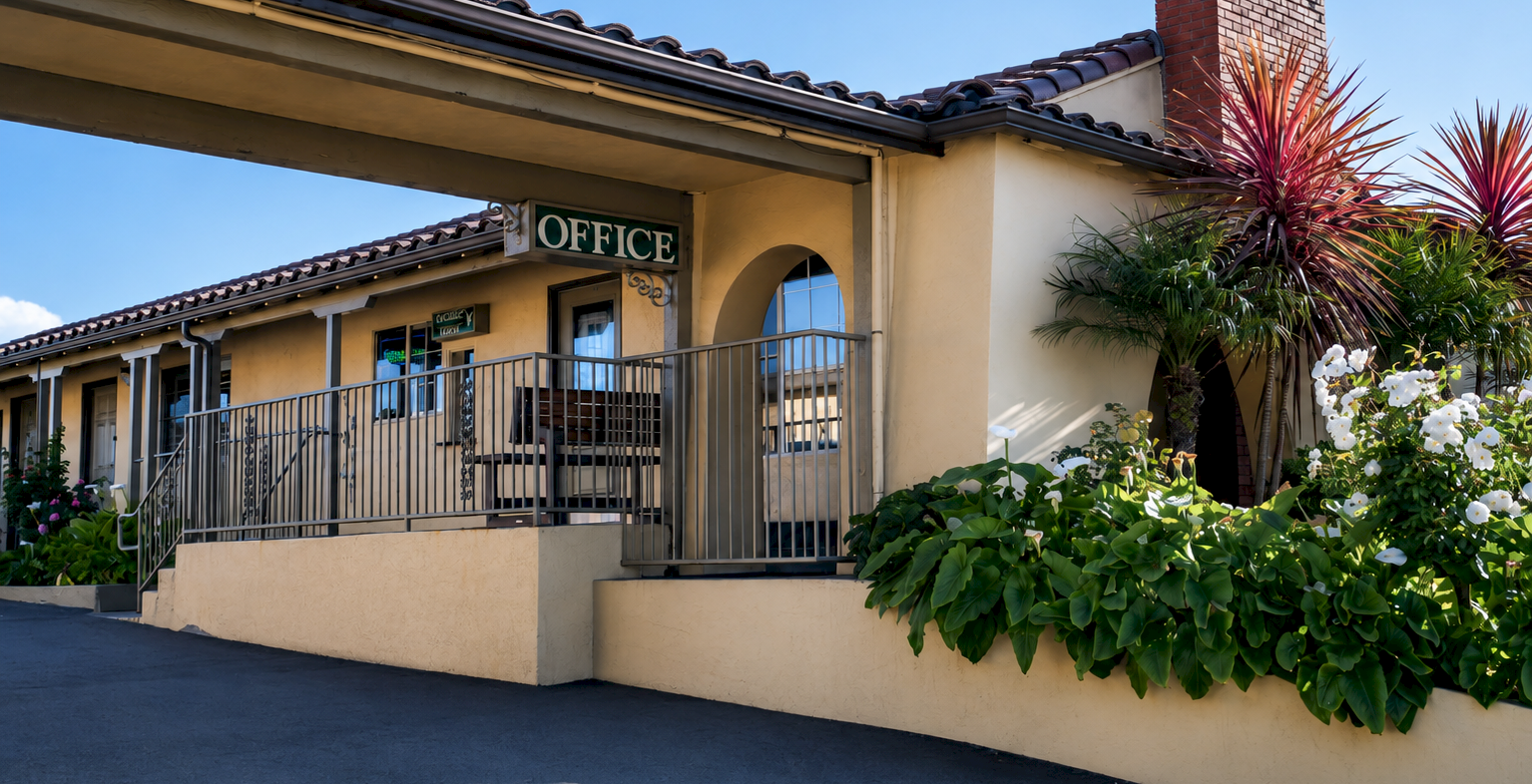 A sunny building entrance with an &ldquo;OFFICE&rdquo; sign, arched doorway, metal railings, and tropical plants and flowers.