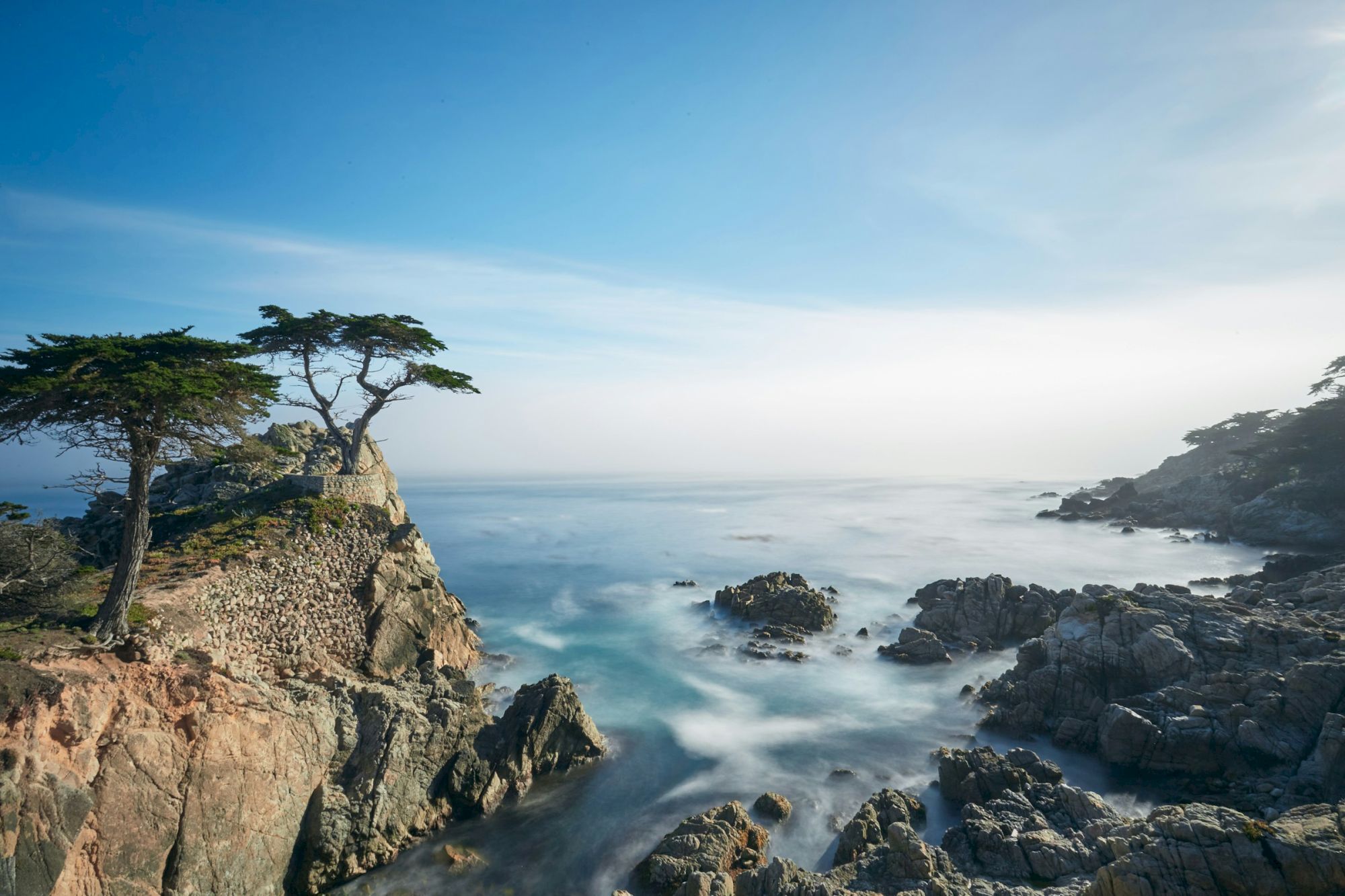 A lone tree stands on a rocky coastal cliff as waves churn below under a bright blue sky at sunrise.
