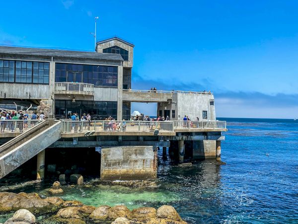 A concrete seaside building sits on rocks above turquoise water, with people dining on a terrace and a bright blue sky overhead.