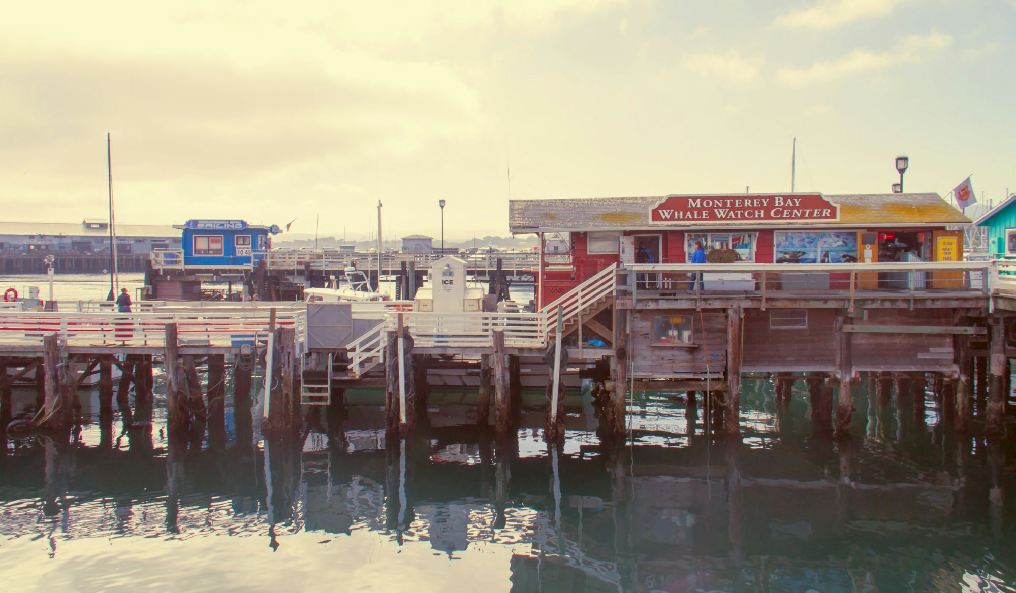 A harbor pier with docks and boats, including the Monterey Bay Whale Watch Center building at the water&rsquo;s edge.