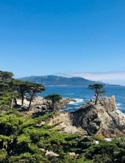 A rocky coastal overlook with pine trees, rugged cliffs, and the sea stretching to distant mountains under a bright blue sky.