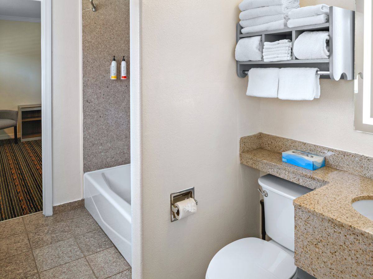 A bright hotel bathroom with a toilet, granite vanity, folded white towels, and a mirrored cabinet above the sink.